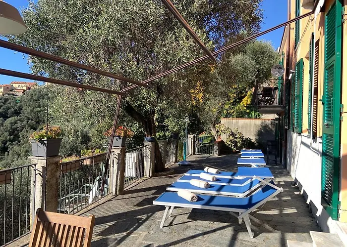 Il Glicine